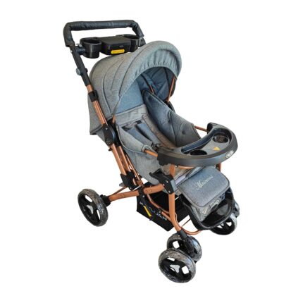 سرویس کالسکه مینی مون با بدنه دلیجان مدل بنیتا